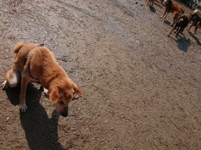 f:id:roukenhome-ann:20190312133052j:plain