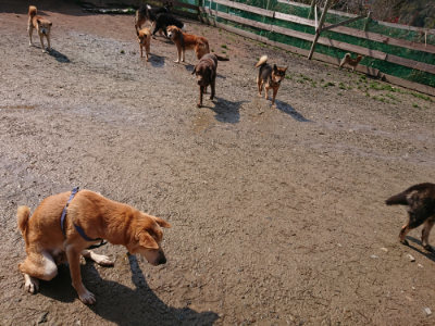 f:id:roukenhome-ann:20190312133112j:plain