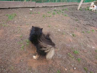 f:id:roukenhome-ann:20190312133130j:plain