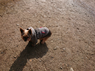 f:id:roukenhome-ann:20190312133713j:plain