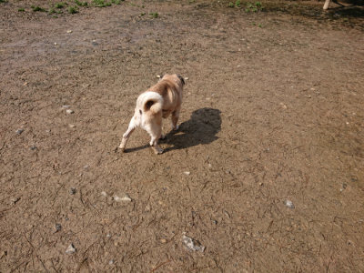 f:id:roukenhome-ann:20190312133727j:plain