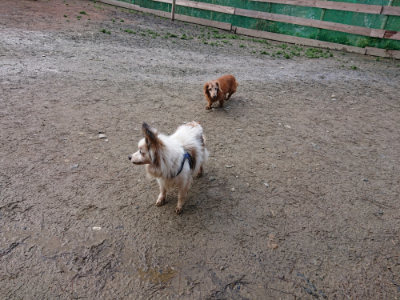 f:id:roukenhome-ann:20190312133734j:plain