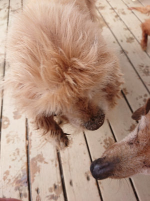 f:id:roukenhome-ann:20190312133953j:plain