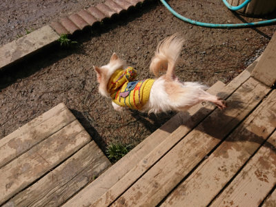 f:id:roukenhome-ann:20190312134038j:plain