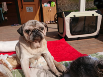 f:id:roukenhome-ann:20190313202208j:plain f:id:roukenhome-ann:20190313202208j:plain