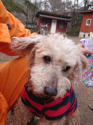 f:id:roukenhome-ann:20190314200936j:plain f:id:roukenhome-ann:20190314200936j:plain