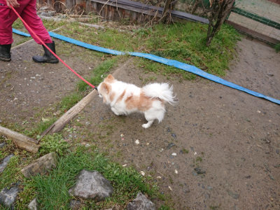 f:id:roukenhome-ann:20190315053453j:plain f:id:roukenhome-ann:20190315053453j:plain