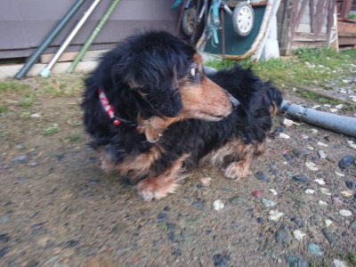 f:id:roukenhome-ann:20190317065951j:plain f:id:roukenhome-ann:20190317065951j:plain