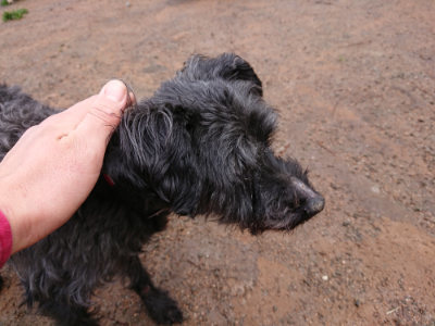 f:id:roukenhome-ann:20190317070127j:plain f:id:roukenhome-ann:20190317070127j:plain