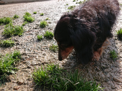 f:id:roukenhome-ann:20190317072659j:plain f:id:roukenhome-ann:20190317072659j:plain