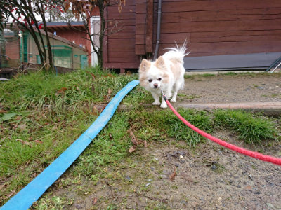 f:id:roukenhome-ann:20190317072704j:plain f:id:roukenhome-ann:20190317072704j:plain