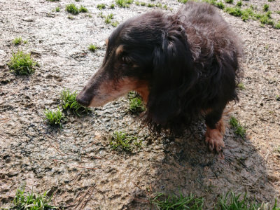 f:id:roukenhome-ann:20190317072710j:plain f:id:roukenhome-ann:20190317072710j:plain