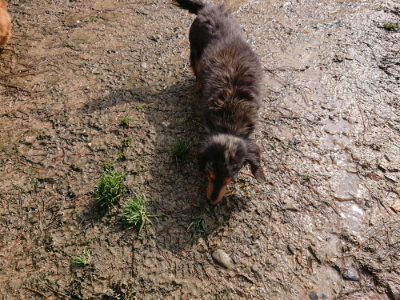 f:id:roukenhome-ann:20190317072716j:plain f:id:roukenhome-ann:20190317072716j:plain