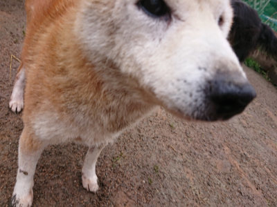 f:id:roukenhome-ann:20190317072855j:plain f:id:roukenhome-ann:20190317072855j:plain