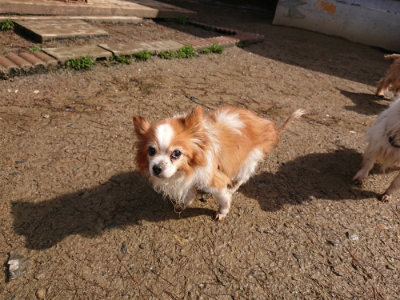 f:id:roukenhome-ann:20190317072940j:plain f:id:roukenhome-ann:20190317072940j:plain