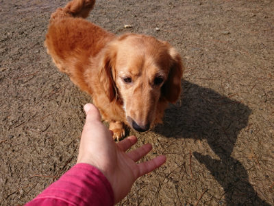 f:id:roukenhome-ann:20190317074057j:plain f:id:roukenhome-ann:20190317074057j:plain