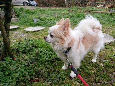 f:id:roukenhome-ann:20190317074312j:plain f:id:roukenhome-ann:20190317074312j:plain