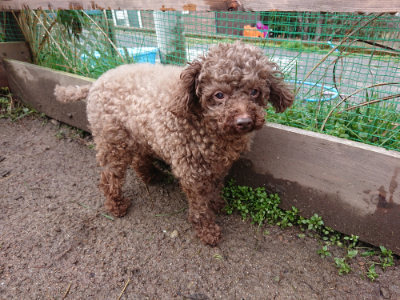 f:id:roukenhome-ann:20190317074608j:plain f:id:roukenhome-ann:20190317074608j:plain