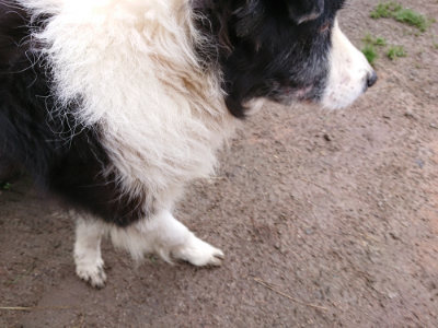 f:id:roukenhome-ann:20190317074638j:plain f:id:roukenhome-ann:20190317074638j:plain