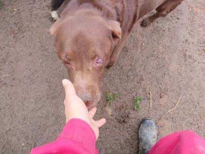 f:id:roukenhome-ann:20190317074704j:plain f:id:roukenhome-ann:20190317074704j:plain