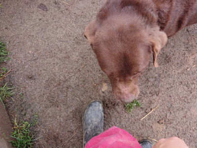 f:id:roukenhome-ann:20190317074720j:plain f:id:roukenhome-ann:20190317074720j:plain