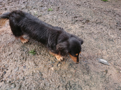 f:id:roukenhome-ann:20190317074751j:plain f:id:roukenhome-ann:20190317074751j:plain