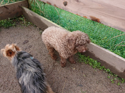 f:id:roukenhome-ann:20190317074757j:plain f:id:roukenhome-ann:20190317074757j:plain