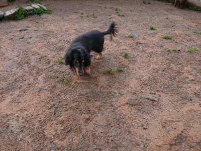 f:id:roukenhome-ann:20190317074908j:plain f:id:roukenhome-ann:20190317074908j:plain