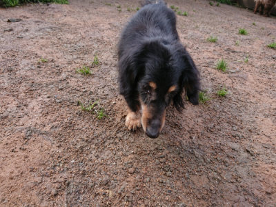 f:id:roukenhome-ann:20190317074914j:plain f:id:roukenhome-ann:20190317074914j:plain