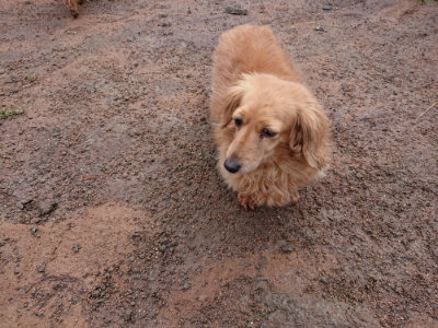 f:id:roukenhome-ann:20190317075049j:plain f:id:roukenhome-ann:20190317075049j:plain