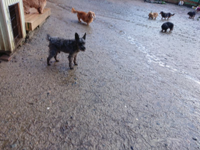 f:id:roukenhome-ann:20190317204521j:plain f:id:roukenhome-ann:20190317204521j:plain