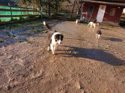 f:id:roukenhome-ann:20190317214313j:plain f:id:roukenhome-ann:20190317214313j:plain