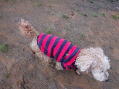 f:id:roukenhome-ann:20190317221010j:plain f:id:roukenhome-ann:20190317221010j:plain