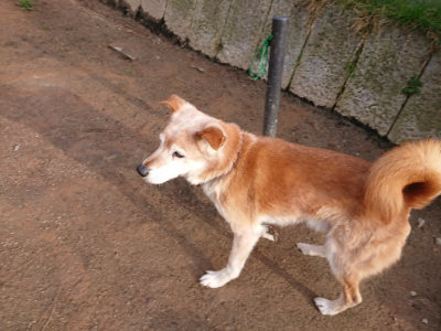 f:id:roukenhome-ann:20190318205438j:plain