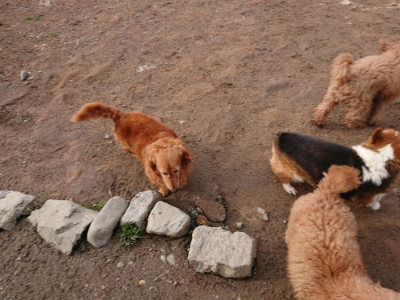 f:id:roukenhome-ann:20190319071200j:plain