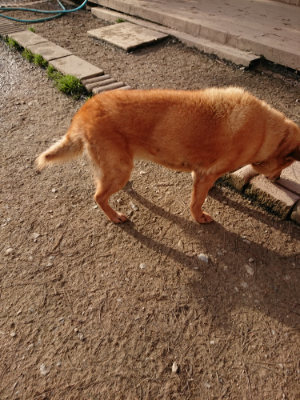 f:id:roukenhome-ann:20190319071736j:plain