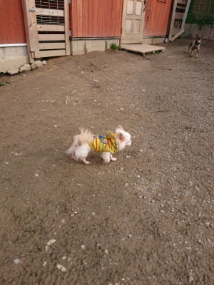 f:id:roukenhome-ann:20190319071750j:plain