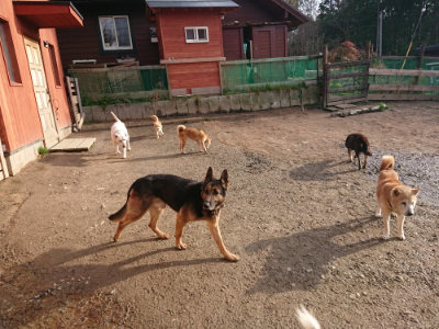 f:id:roukenhome-ann:20190319071944j:plain