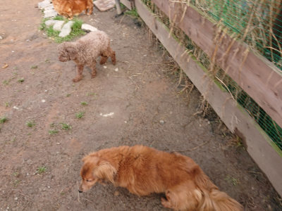 f:id:roukenhome-ann:20190319074114j:plain