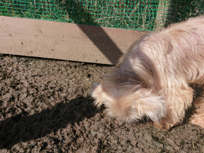 f:id:roukenhome-ann:20190321080511j:plain f:id:roukenhome-ann:20190321080511j:plain