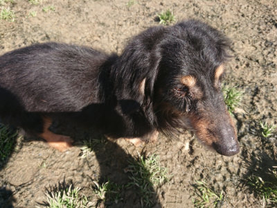 f:id:roukenhome-ann:20190321083949j:plain