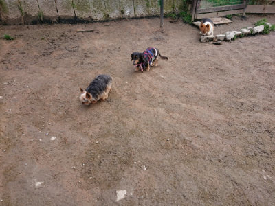 f:id:roukenhome-ann:20190322080141j:plain