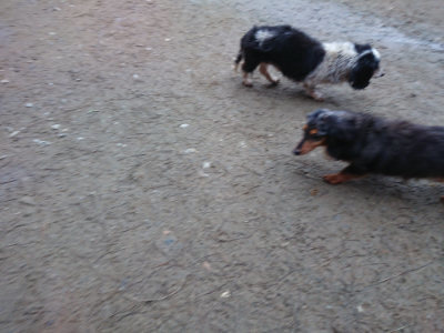 f:id:roukenhome-ann:20190323072419j:plain f:id:roukenhome-ann:20190323072419j:plain