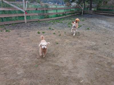 f:id:roukenhome-ann:20190323073721j:plain f:id:roukenhome-ann:20190323073721j:plain