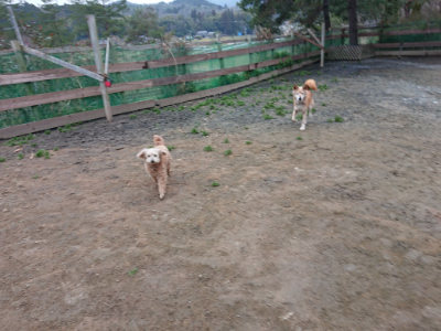 f:id:roukenhome-ann:20190323074037j:plain f:id:roukenhome-ann:20190323074037j:plain