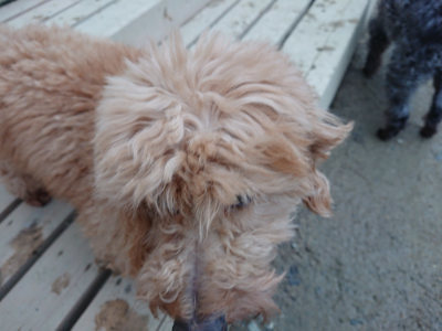 f:id:roukenhome-ann:20190323074048j:plain f:id:roukenhome-ann:20190323074048j:plain