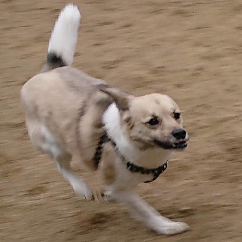 f:id:roukenhome-ann:20190323201612j:plain f:id:roukenhome-ann:20190323201612j:plain