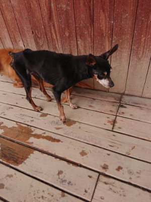 f:id:roukenhome-ann:20190323202107j:plain f:id:roukenhome-ann:20190323202107j:plain