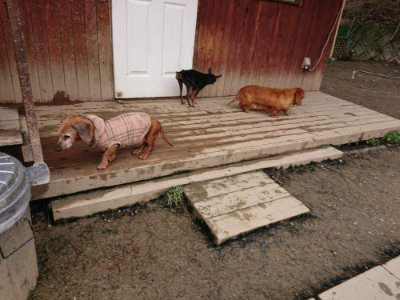 f:id:roukenhome-ann:20190323202220j:plain f:id:roukenhome-ann:20190323202220j:plain