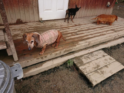 f:id:roukenhome-ann:20190323202227j:plain f:id:roukenhome-ann:20190323202227j:plain